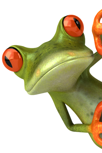 process frog img
